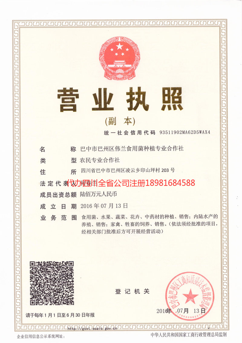 南雄南雄伟兰食用菌种植专业合作社